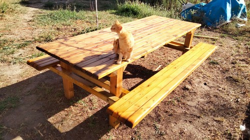 Grande table bois - en,